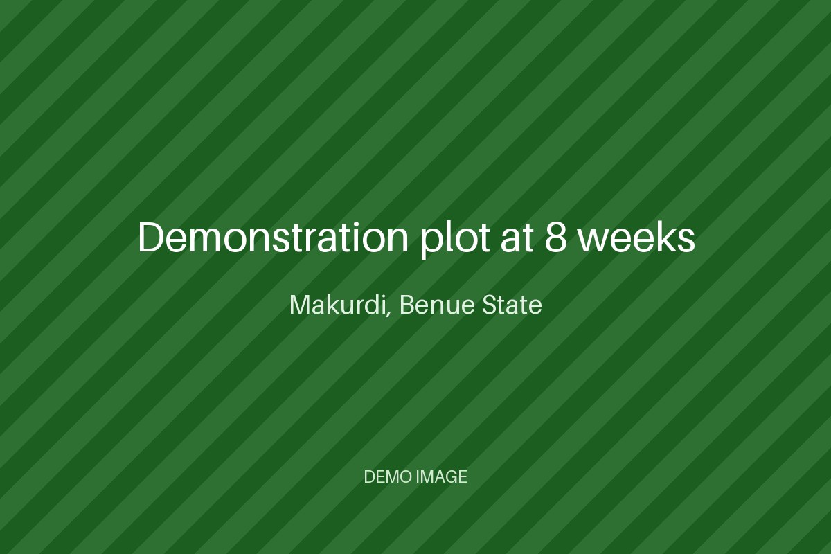 Demonstration plot at 8 weeks