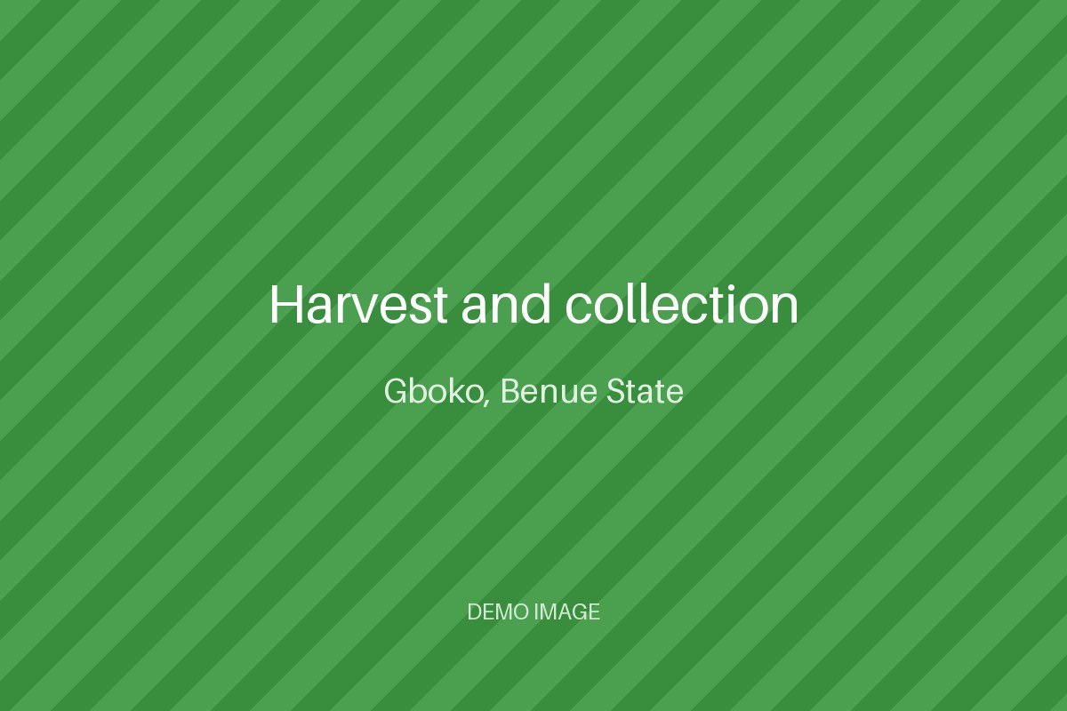 Harvest and collection